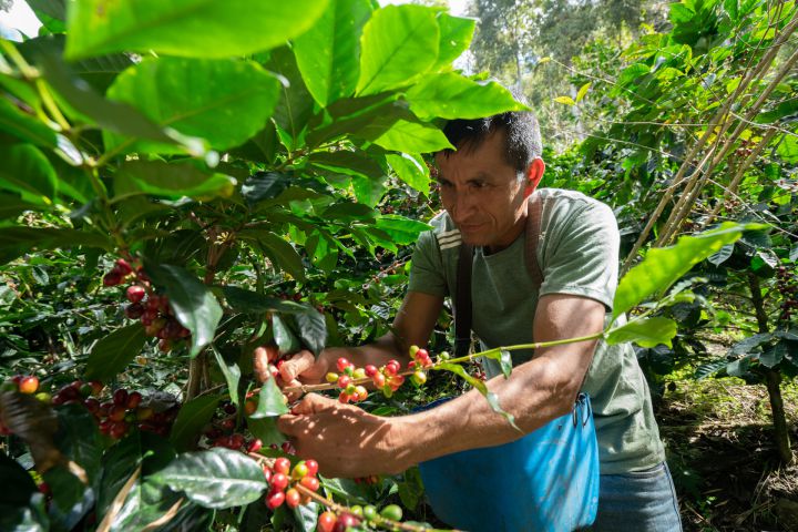 A Strong & Sustainable Supply Chain | Grinders® Coffee